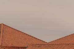 EK-Cyclocross-Middelkerke-_25-07-november-2025-4-PM-18m-49s-C-Lars-Crommelinck-for-GOLAZO