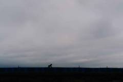 EK-Cyclocross-Middelkerke-_25-07-november-2025-4-PM-36m-17s-C-Lars-Crommelinck-for-GOLAZO