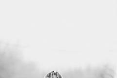 EK-Cyclocross-Middelkerke-_25-08-november-2025-4-PM-47m-21s-C-Lars-Crommelinck-for-GOLAZO-3