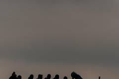 EK-Cyclocross-Middelkerke-_25-08-november-2025-12-PM-26m-27s-C-Lars-Crommelinck-for-GOLAZO